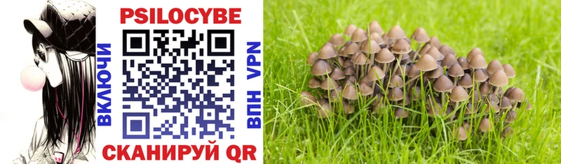 ОМГ ОМГ ссылка  Североморск  Галлюциногенные грибы MAGIC MUSHROOMS 
